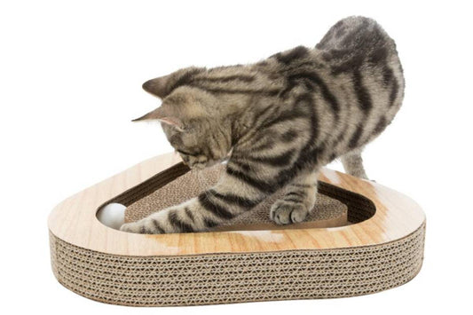 Kassimänguasi kraapimismatt