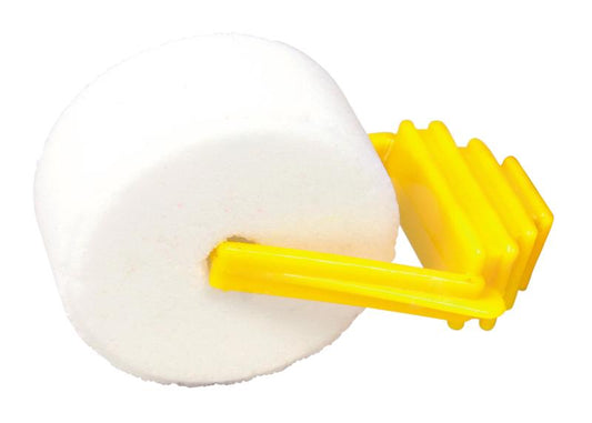 Merisigade ja küülikute sool