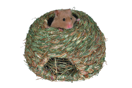 Punutud näriliste maja