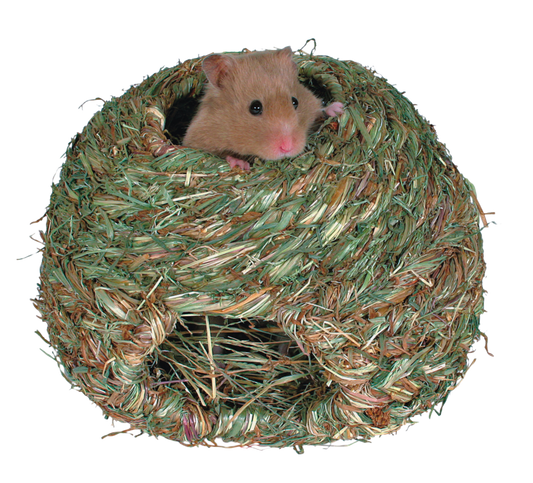 Punutud näriliste maja