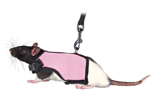 Trixie Шлейки для грызунов