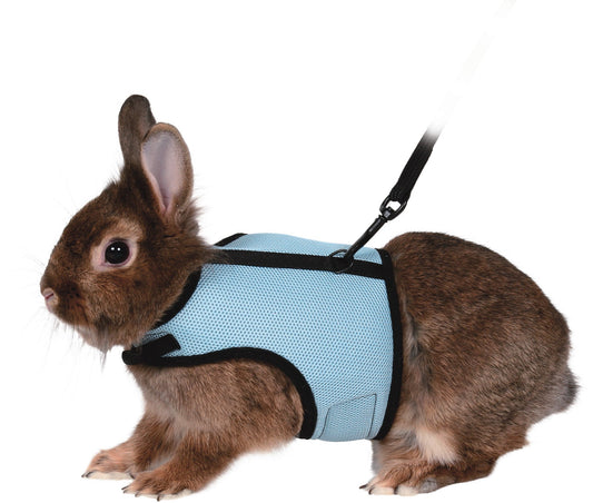 Pehmendusega näriliste trakside ja rihmaga kääbusküülikutele