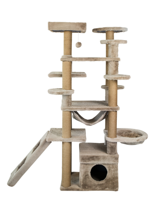 Kassikraapimispuu, 166x65x173 cm, kreemikas