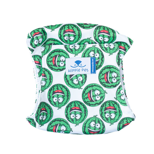 Korduvkasutatavad mähkmed isastele koertele