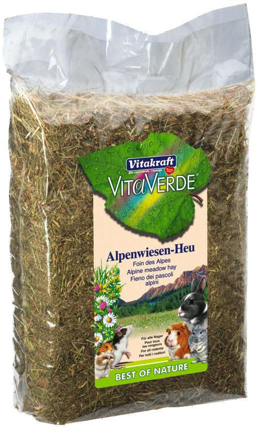 Näriliste hein