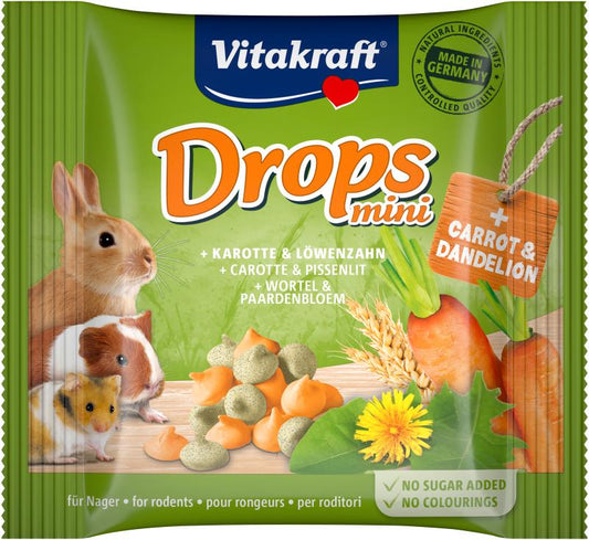 Väikeloomade maiuspalad porgandite ja võililledega