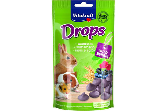 Väikeloomade maiuspalad metsamarjadega