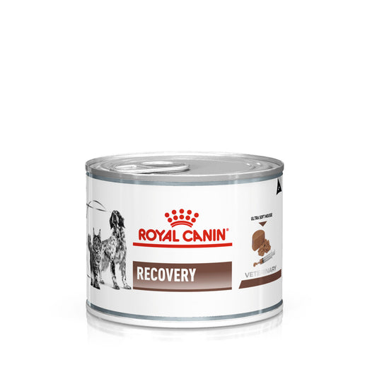 Royal Canin влажный корм