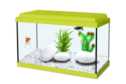 Zolux Аквариум Aqua Nanolife kidz