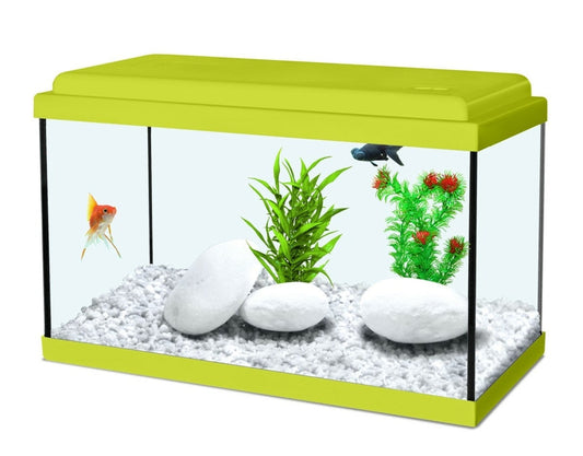 Akvaarium Aqua Nanolife kidz