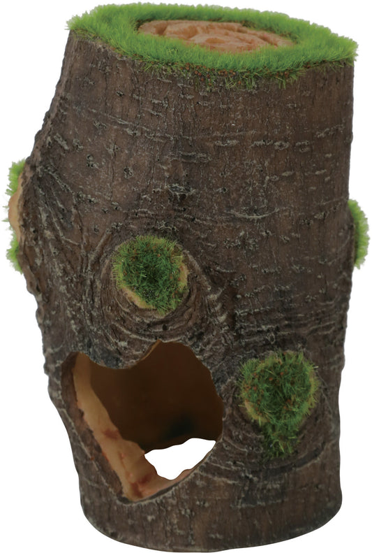 Akvaariumi kaunistamine