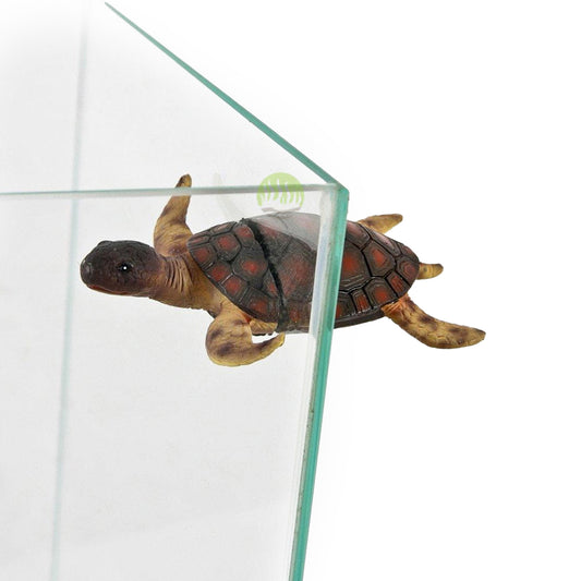 Magnet akvaariumi jaoks 7.5x9x2.5 cm