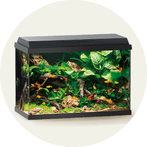 Akvariumid ja kapid